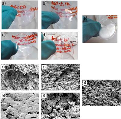 Porous Optically Transparent Cellulose Acetate Scaffolds for Biomimetic Blood-Brain Barrierin vitro Models